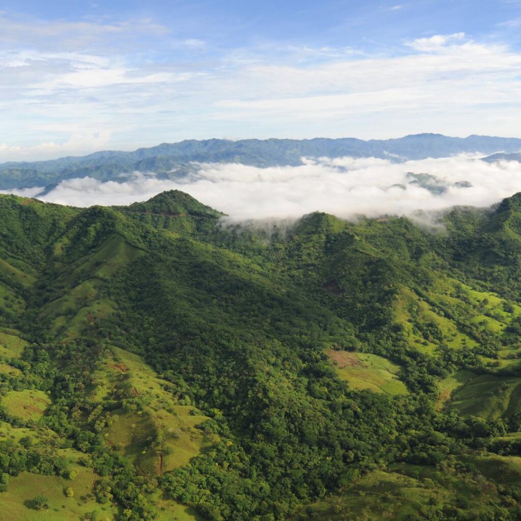 Monte Verde 5